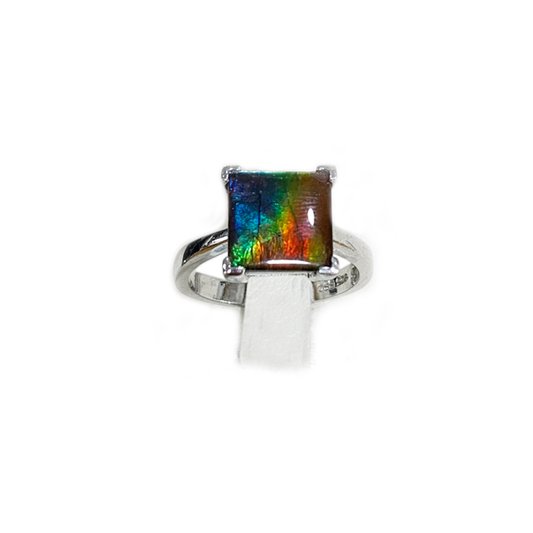 14k White Gold Ammolite Ring