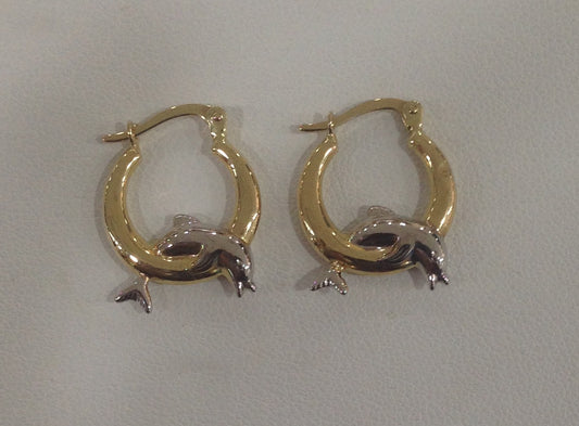Gold Earrings