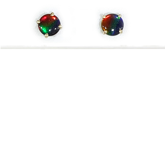 14K Gold Ammolite Earrings